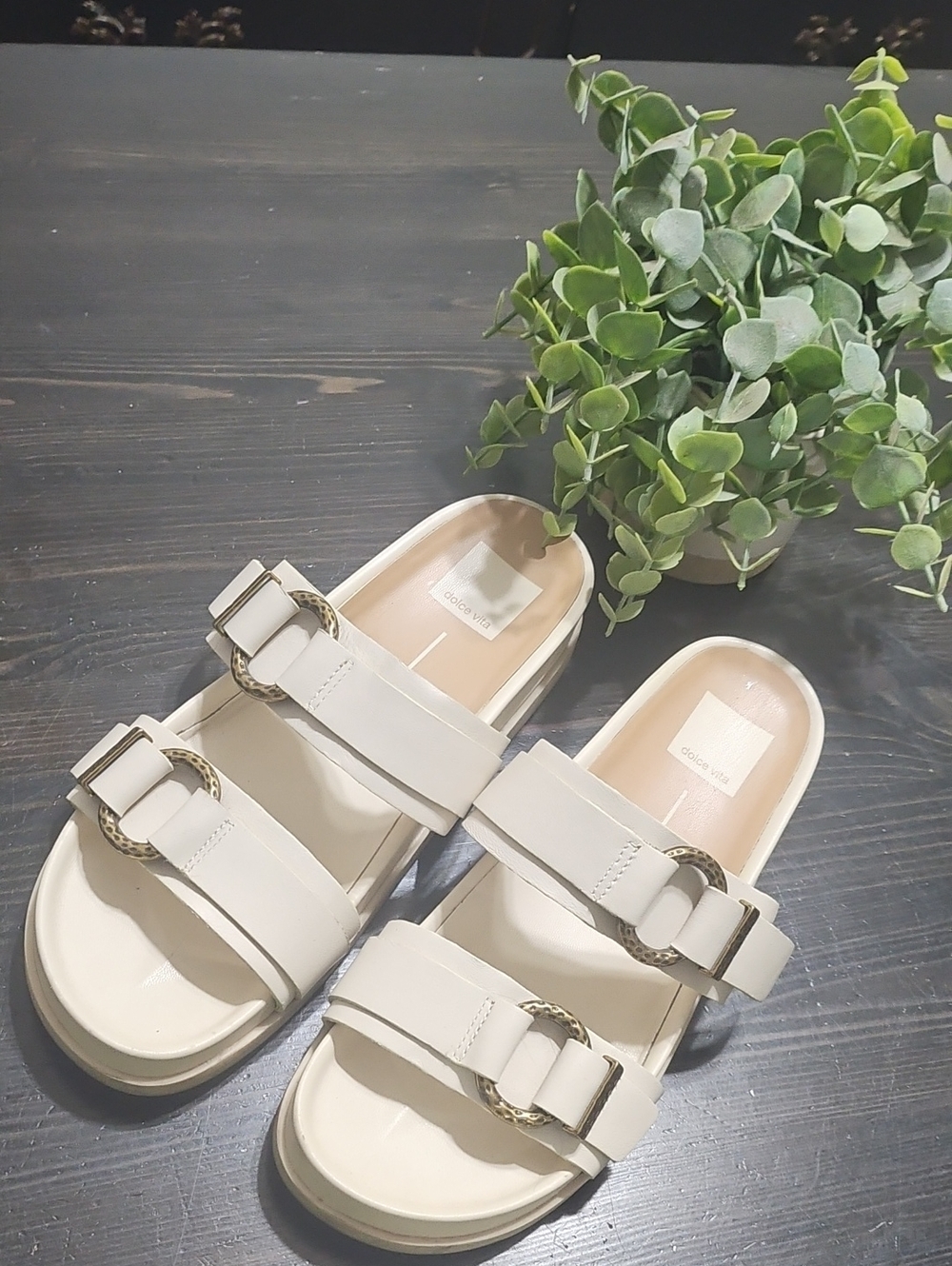 Dolce Vita Ivory Slide Mules with Gold Buckle Details